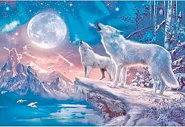 DCIDBEI Square diamond Painting Wolf Vollmond