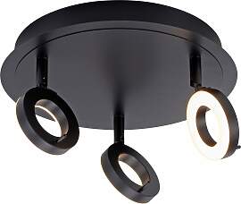 Deckenleuchte PAUL NEUHAUS "SILEDA",