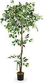 Decovego Künstlicher Ficus Benjamin,