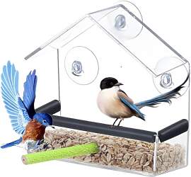 DeJivsin Transparent Fenster Futterhaus für