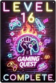 Deko 16 Geburtstag Junge, Blechschild Gaming Deko, 