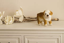 Dekofigur "Mops", braun, B:19cm H:9cm