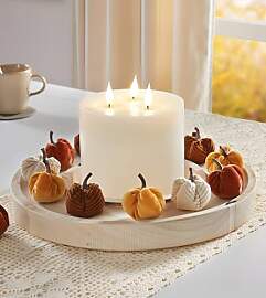 Dekoleidenschaft Dekoring Nature aus Holz, Natur,