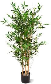 Designplants Japanischer Bambus Kunstpflanze (h: