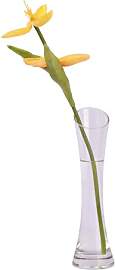 Dewocke Blumenvase 20cm Hoch, Einzelstielvase