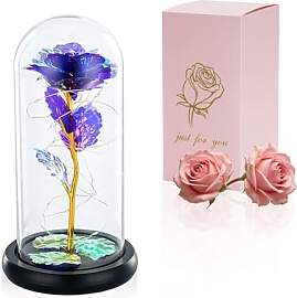 Die Schöne Und Das Biest Rose In Glaskuppel