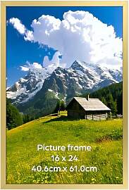 Ditwis Bilderrahmen 40x60 Gold, Aluminium