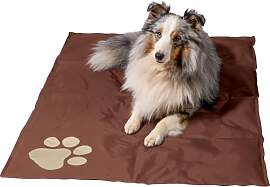 dobar® 60421 Kühlmatte für Hunde -