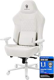 Dowinx Gaming Stuhl 200kg Belastbarkeit