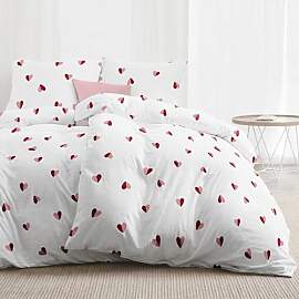 Dreamzie - 4teilig Bettwäsche Set 135x200 cm –