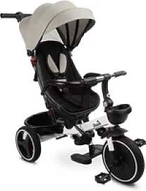 Dreirad Toyz Dash