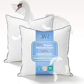 DWR Daunenkissen 60x60 cm (2 Stück) | 3-Kammer