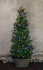 EGLO LED-Lichterkette "SERIE LED -