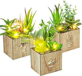Elecoutek 3 Set Kunstpflanzen mit LED in