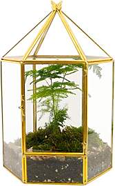 ELEGANTLIFE Geometrisches Glas-Terrarium,