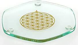 Energy Plate 9 cm