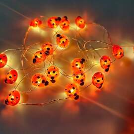 ENLACE Lichterkette Marienkäfer Rot, 3M 30 LED