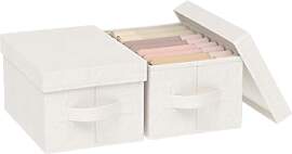 ENUMAIL Aufbewahrungsbox mit Deckel, Klappbox mit