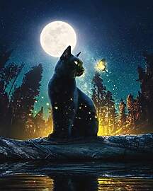 EOBROMD Schwarze Katze Diamond Painting Bilder, 5D 