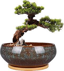 EPFamily Bonsai-Pflanztopf aus Keramik, glasiert,