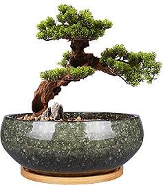 EPFamily Bonsai-Pflanztopf aus Keramik, glasiert,