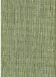 Erismann Paradisio 2 | 630936 | Vliestapete