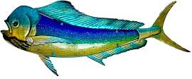 EUROCATCH Dorado - Wanddekoration - 99cm - 3D -