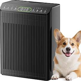 EVALIT Luftreiniger für Allergiker, Air Purifier