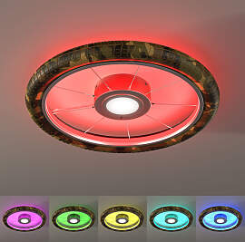 EVOTEC Deckenleuchte "Bela",