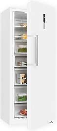 EXQUISIT Gefrierschrank