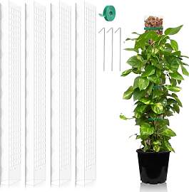 FAELNK Monstera Rankhilfe 4 Stück 24 Zoll