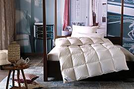 Federbettdecke BILLERBECK "Ebby 50 Mono,