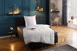 Federbettdecke + Federkissen HANSE BY RIBECO