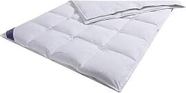 Federbettdecke HANSE BY RIBECO "Jonas",