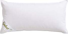 Federkissen FJÖDUR "Finn, in 40x80 &