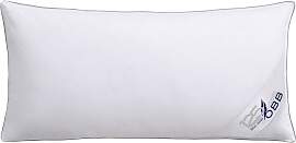 Federkopfkissen OBB "Edition 125 Jahre,