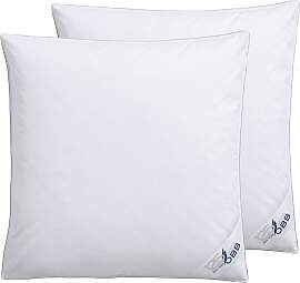 Federkopfkissen OBB "Edition 125 Jahre