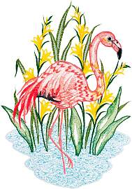 Fensterbild "Fensterbild "Flamingo" 
