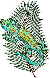 Fensterbild "Fensterbild "Gecko"