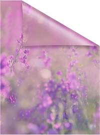 Fensterfolie LICHTBLICK ORIGINAL