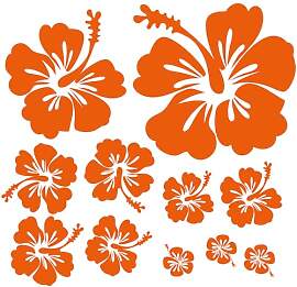 Finest Folia Dekoaufkleber Hibiskus Blumen Home