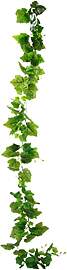 Flair Flower Girlande Deko AST Weinrebe Dekorieren 