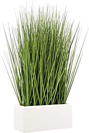 Flair Flower Gras in Schale aus Keramik