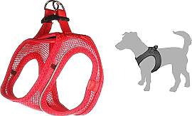 Flamingo Geschirr Step&GO BENTO ROT XS 30-32CM