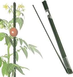 Floordirekt Rankhilfe Pflanzstäbe 180cm 10 Stück 