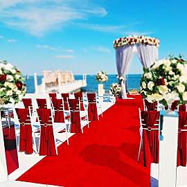 Floordirekt Roter Teppich 200 x 200 cm - VIP