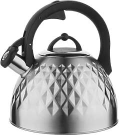 FLORINA Fenny Satin Wasserkessel Induktion 2 5 L
