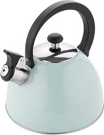 FLORINA Wasserkessel (2,5 l) I Edelstahl Teekessel 