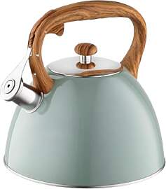 FLORINA Wasserkessel (2,5 l) I Edelstahl Teekessel 