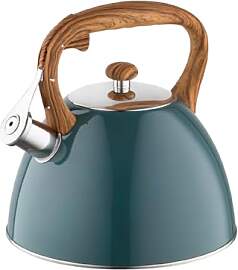 FLORINA Wasserkessel (2,5 l) I Edelstahl Teekessel 